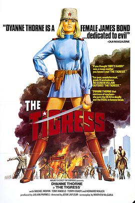 调音师豆瓣海报剧照